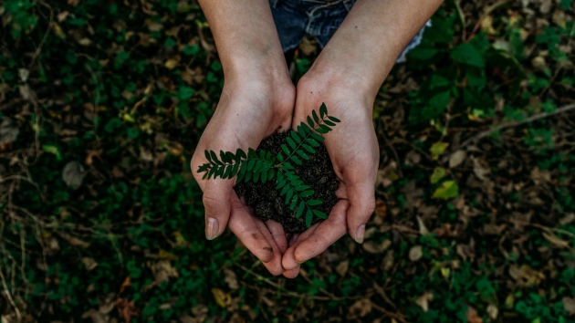 Klimaschutz verliert Zustimmung, Vorteile und glaubwürdige Belege zählen - Quelle: Noah Buscher/Unsplash